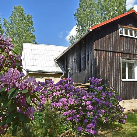 Rum i privatbostad Buseranda - Depandance U Zeleneho Stromu