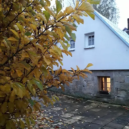 Buseranda - Depandance U Zeleneho Stromu Rum i privatbostad Decin