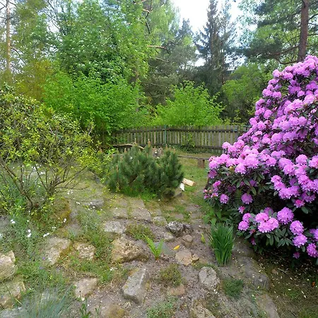 Buseranda - Depandance U Zeleneho Stromu Rum i privatbostad Decin