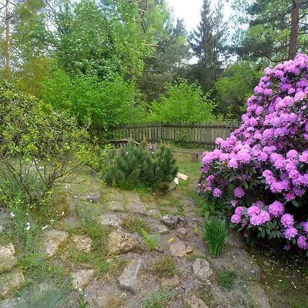 Buseranda - Depandance U Zeleneho Stromu Privat bolig Decin
