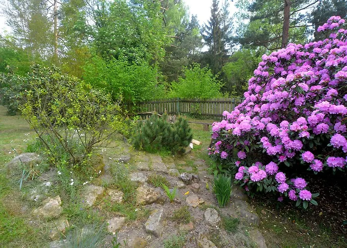 Bušeranda - Depandance U Zeleného Stromu Ubytování v soukromí Decin